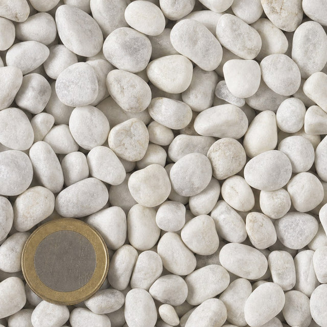 Carrara rond 7/15 mm van bovenaf, op schaal naast een munt van 1 euro (gezichtsveld 9 bij 9 cm)
