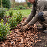 Portugese boomschors 30-50 aanbrengen in het tuinperk met handschoenen