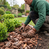 Portugese boomschors 50-70 aanbrengen in het tuinperk met handschoenen