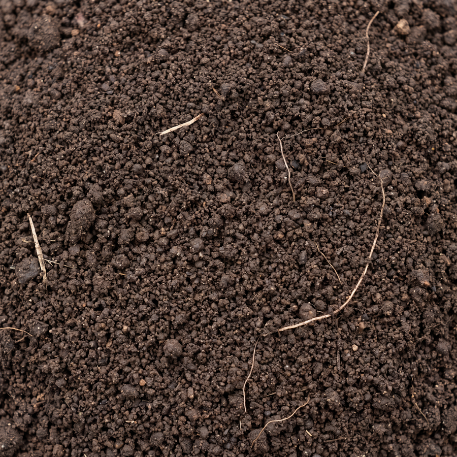 Close-up van de structuur van tuingrond: donkere kruimelige teelaarde met compost