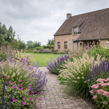 Onderhoudsarme siergrasborder langs een tuinpad met siergras, salie en ooievaarsbek