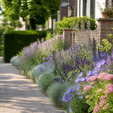 Kleurrijke stadsborder met kattenkruid, steppensalie en vetkruid