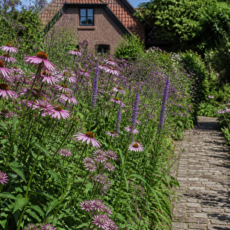 Tuinpad omzoomd met een kleurrijk snijbloemenbed