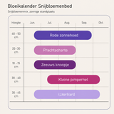Bloeikalender Snijbloemenbed