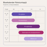 Bloeikalender Rotstuintapijt