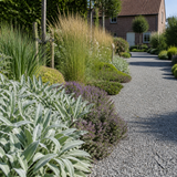 Grindpad omzoomd met een zilverig droogtetolerant border