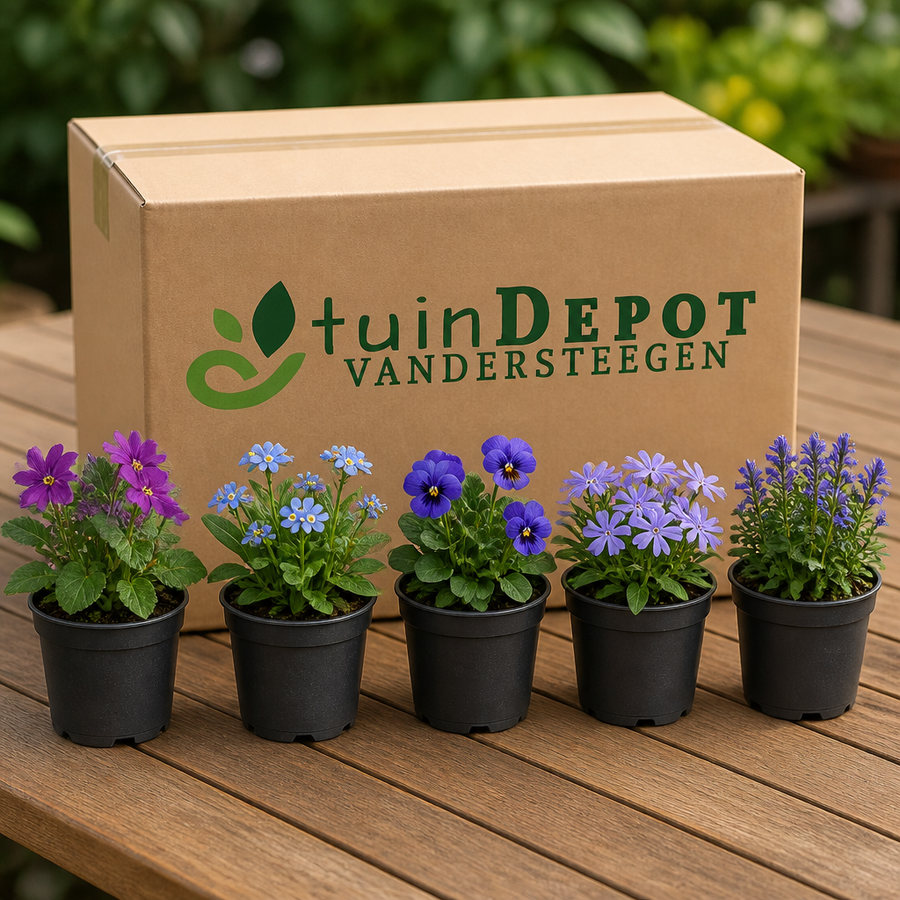 TuinDepot-verpakking met de 5 planten van de Blauwe Oase