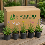 TuinDepot-verpakking met de 5 planten van de Inheemse Wilde Border