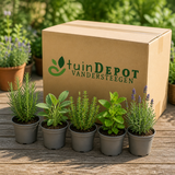 TuinDepot-verpakking met de 5 planten van de Provence Kruidentuin