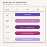 Bloeikalender Schaduwheld
