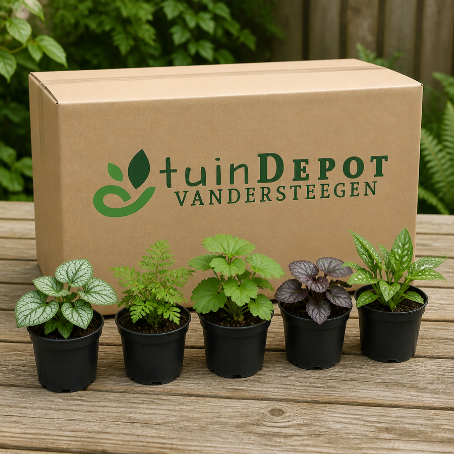 TuinDepot-verpakking met de 5 planten van de Bostuinborder