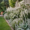 Witte tuin met witte salie, wolkruid en witte zonnehoed