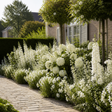 Tuinpad omzoomd met een elegante witte border