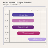 Bloeikalender Cottagetuin Droom