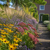 Tuinpad omzoomd met een kleurrijke herfstborder