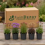 TuinDepot-verpakking met de 5 planten van Herfstglans