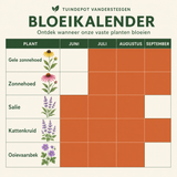 Bloeikalender Vivaldi border