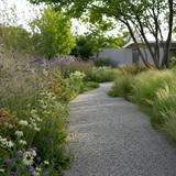 Modern tuinpad omzoomd door wuivende grassenborder