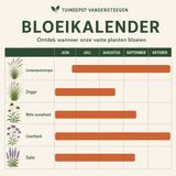 Bloeikalender Bach border