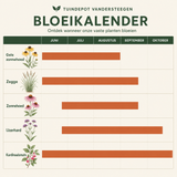 Bloeikalender Liszt border