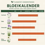 Bloeikalender Rameau border