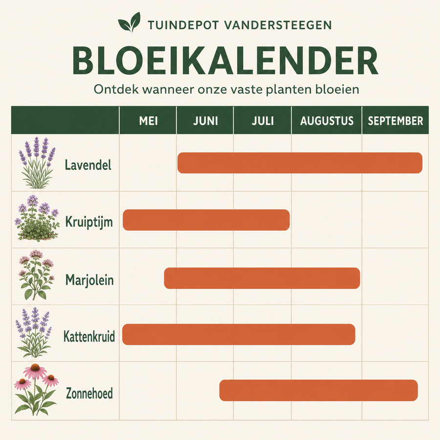 Bloeikalender Verdi border