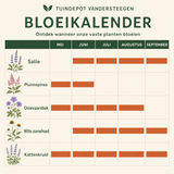 Bloeikalender Puccini border
