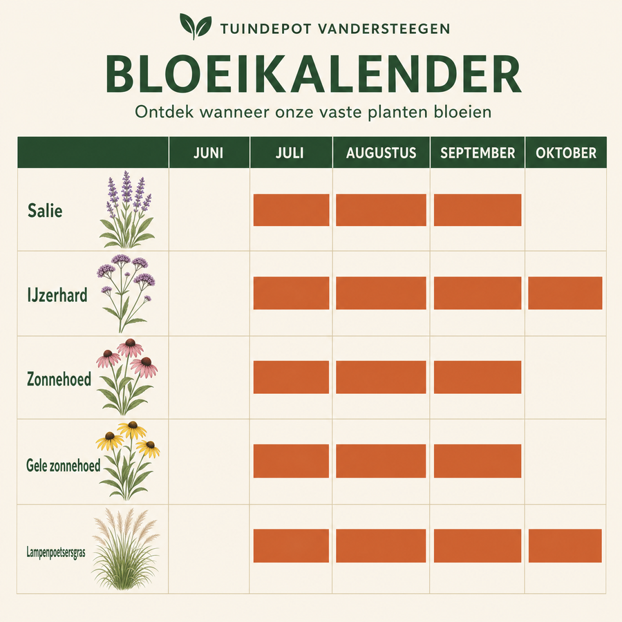 Bloeikalender Berlioz border