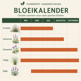 Bloeikalender Sibelius border