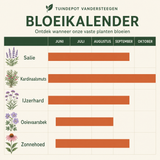 Bloeikalender Haydn border