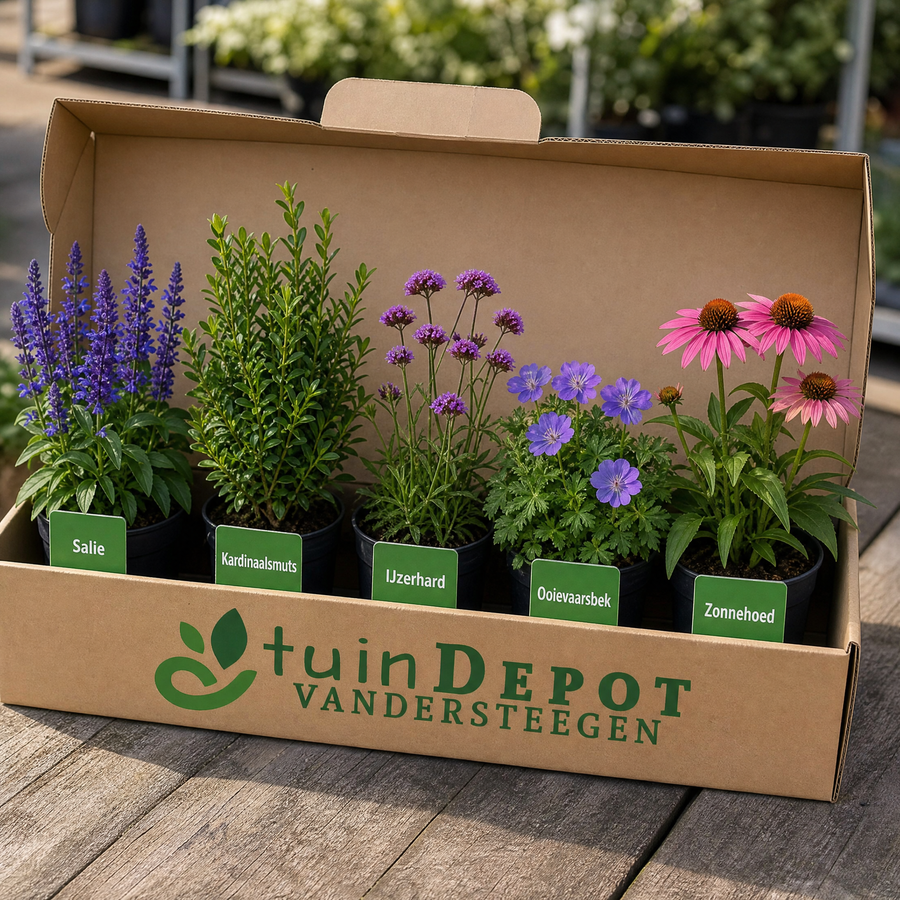 TuinDepot-verpakking met de 5 planten van de Haydn-border