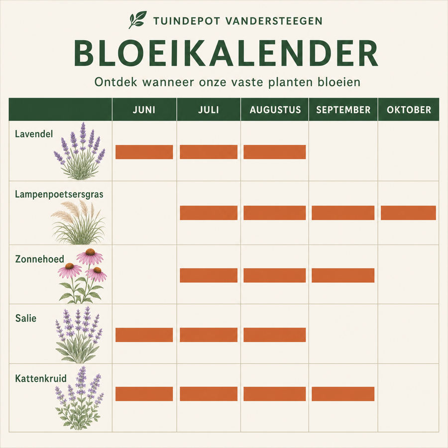 Bloeikalender Strauss border