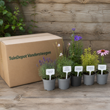 TuinDepot-verpakking met de 5 planten van de Mozart-border