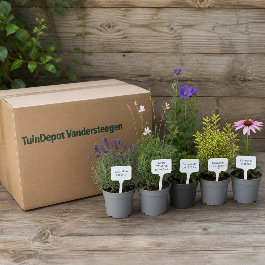 TuinDepot-verpakking met de 5 planten van de Mozart-border
