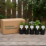 TuinDepot-verpakking met de 5 planten van de Dvořák-border