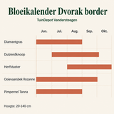 Bloeikalender Dvořák border