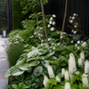 Moderne schaduw-weving met schuimbloem, witte veldbies, elfenbloem, Jack Frost en schaduwkruid