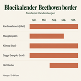 Bloeikalender Beethoven border