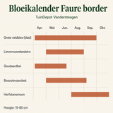 Bloeikalender Fauré border