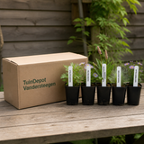 TuinDepot-verpakking met de 5 planten van de Schumann-border