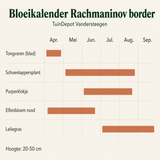 Bloeikalender Rachmaninov border
