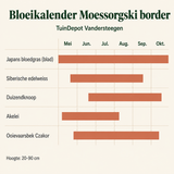 Bloeikalender Moessorgski border