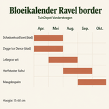 Bloeikalender Ravel border