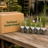 TuinDepot-verpakking met de 5 planten van de Debussy-border