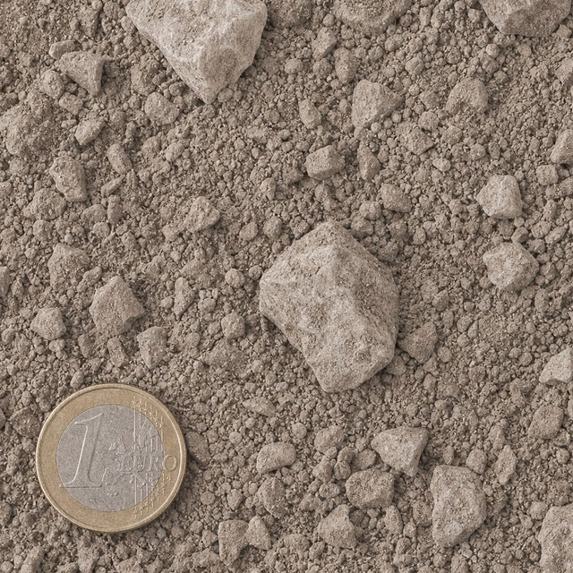 Kalksteenslag 0/20 mm van bovenaf, op schaal naast een munt van 1 euro (gezichtsveld 9 bij 9 cm)