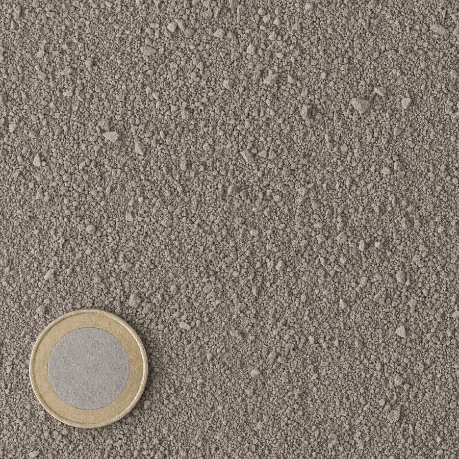 Kalksteenslag 0/4 mm van bovenaf, op schaal naast een munt van 1 euro (gezichtsveld 9 bij 9 cm)