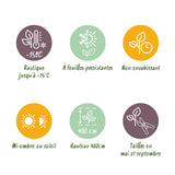 Green boutiQ - 8x Ligustrum ovalifolium Aureum - Bontbladige Liguster - Haagplanten - Groenblijvend - Bont - Pot 9cm - Hoogte 35-45cm