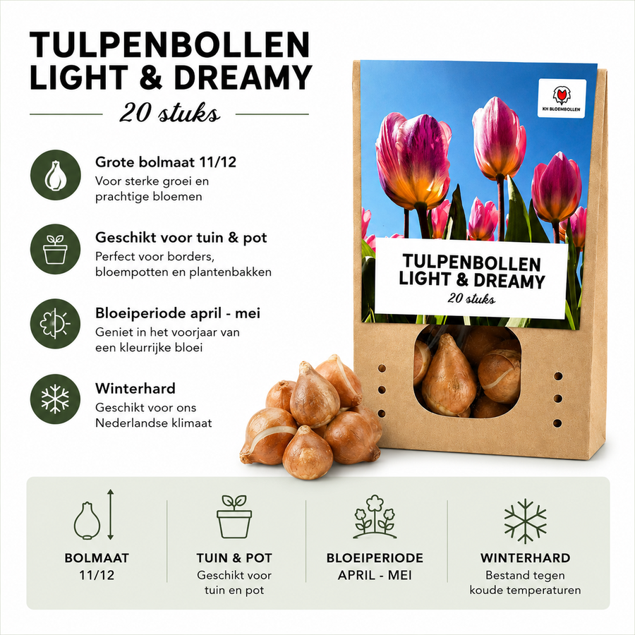 Tulpenbollen Light and Dreamy — pastelmix, 20 stuks (maat 11/12)