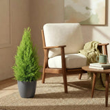 Green BoutiQ - Kamerplanten - Cupressus Gold Crest Wilma - Kamer conifeer - Weinig onderhoud - Groen - 1 Plant - met Potter Grijs - Pot 21cm - Hoogte 85-95cm