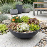 24x - Alpine mix - Ø7cm - ↕10-12cm
